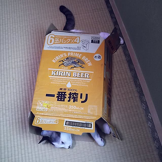 kamekoさんの実例写真
