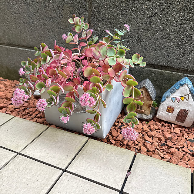 CoffeeHouseさんの実例写真