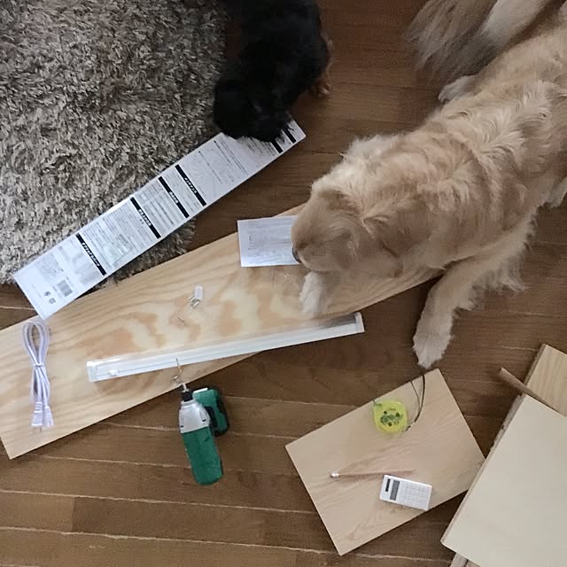 tomowithdogさんの実例写真