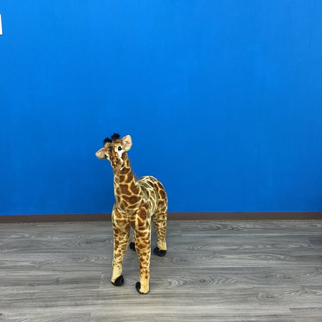shinoさんの実例写真