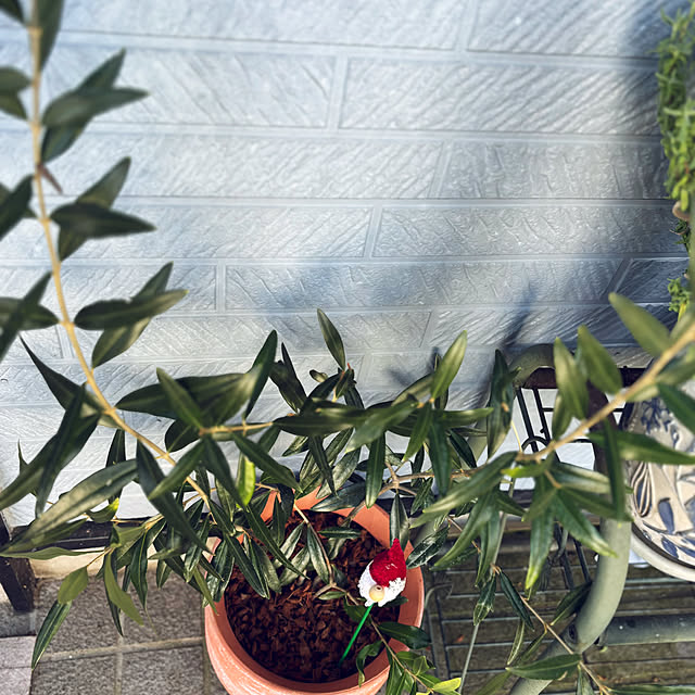 CoCo0617さんの部屋