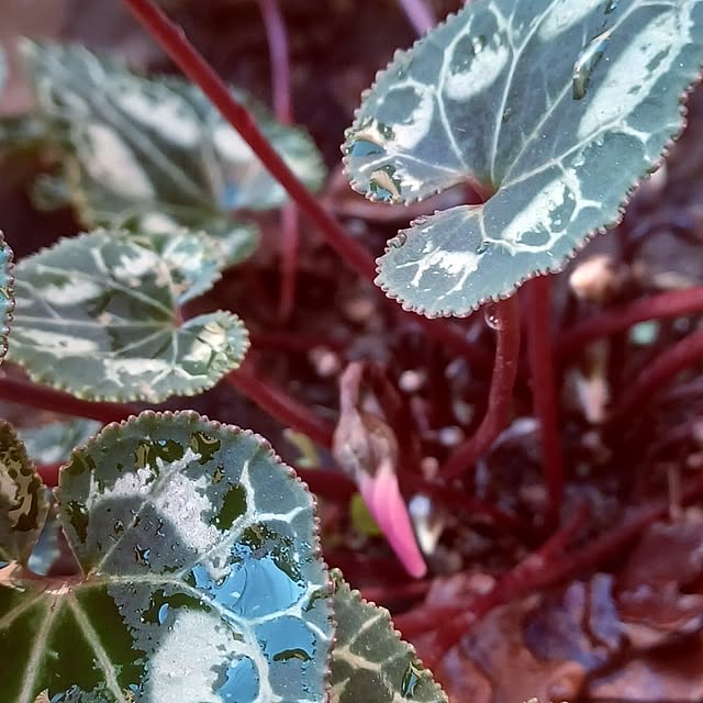 hiro.904さんの部屋