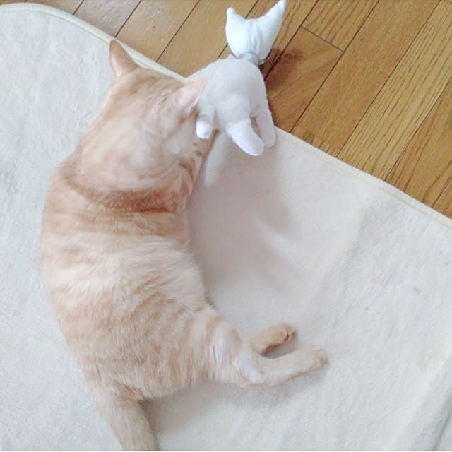 heart.emiemi57.whiteさんの実例写真