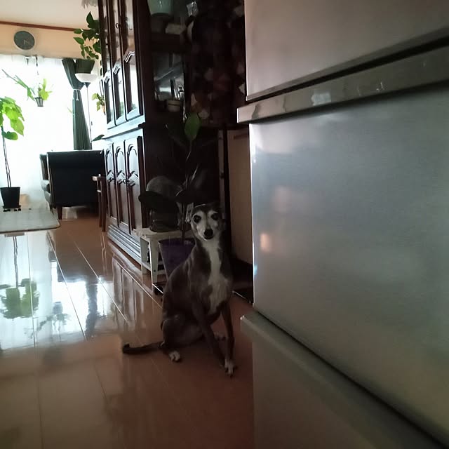 moruさんの部屋