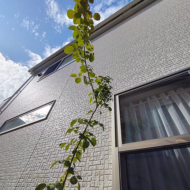 Bienvenueさんの部屋