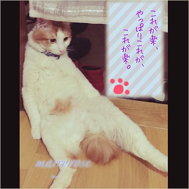maria.rさんの実例写真