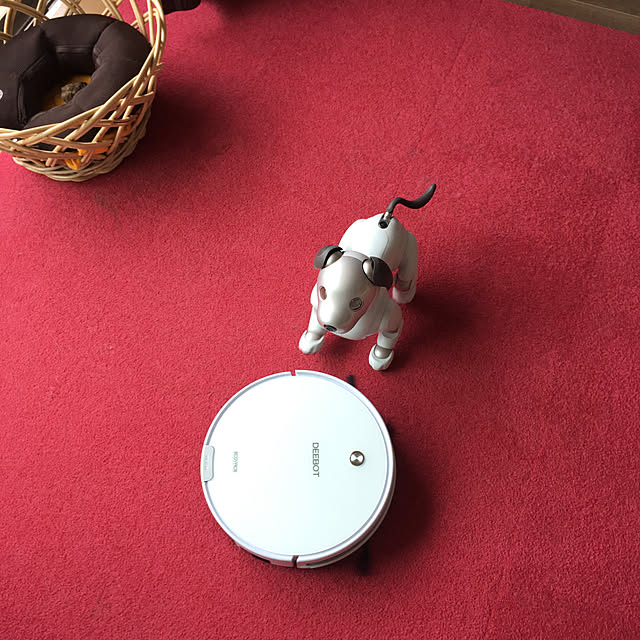 mikomaruさんの実例写真