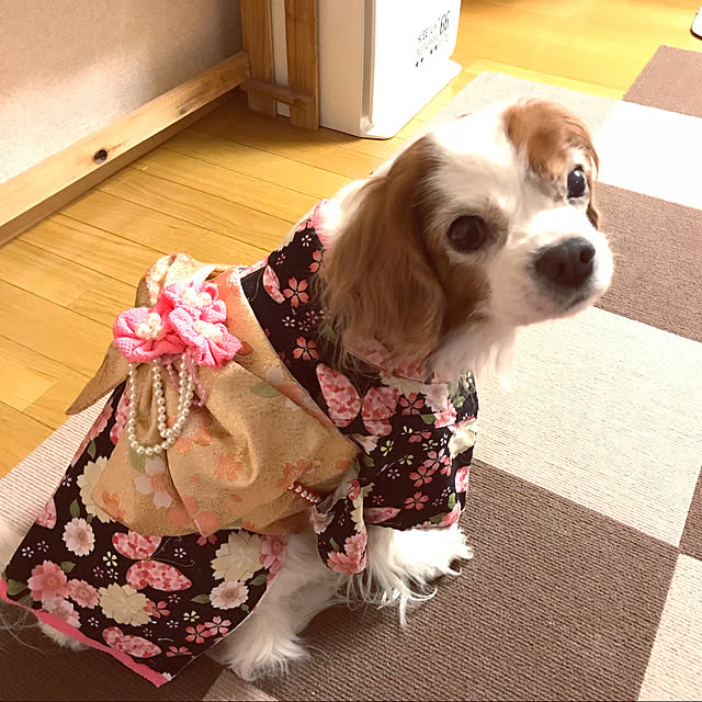 canmilmamaさんの実例写真