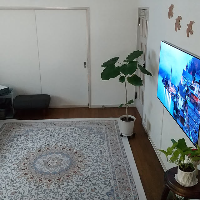 Renさんの実例写真