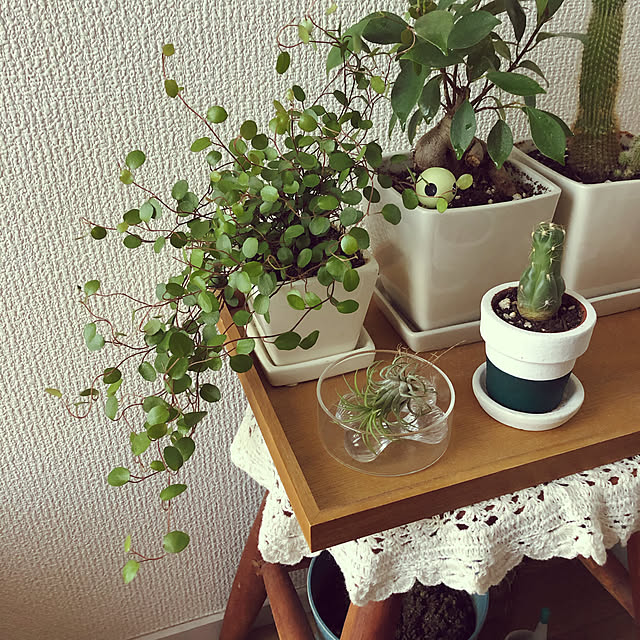 kamecoさんの実例写真