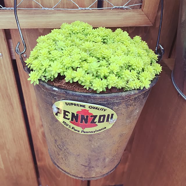 pinekonkさんの実例写真