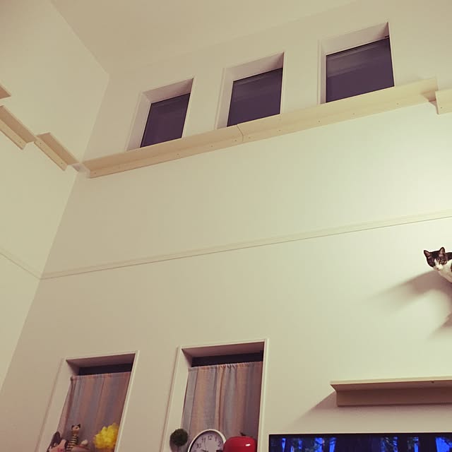DIY/猫/ふきぬけ/ペンキ/キャットウォーク...などのインテリア実例 - 2016-08-04 22:29:04