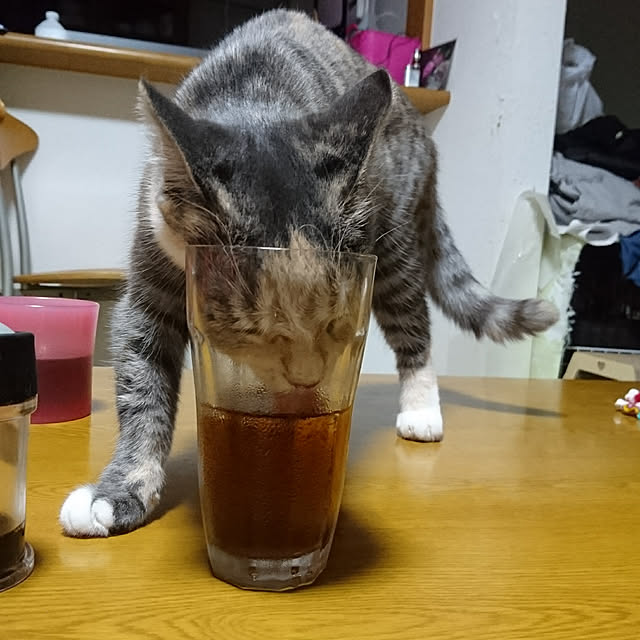 shinobuさんの実例写真