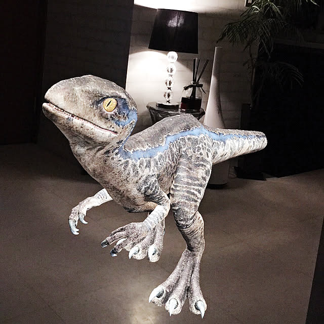 meco8さんの実例写真