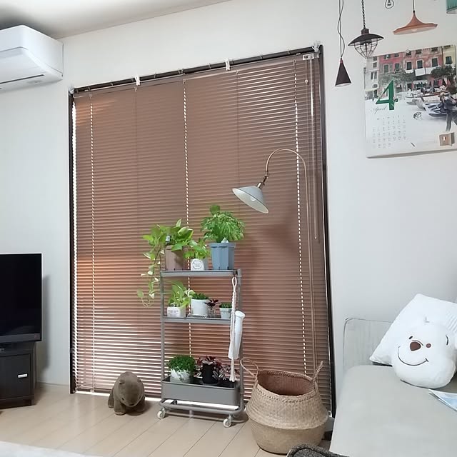 meiさんの実例写真