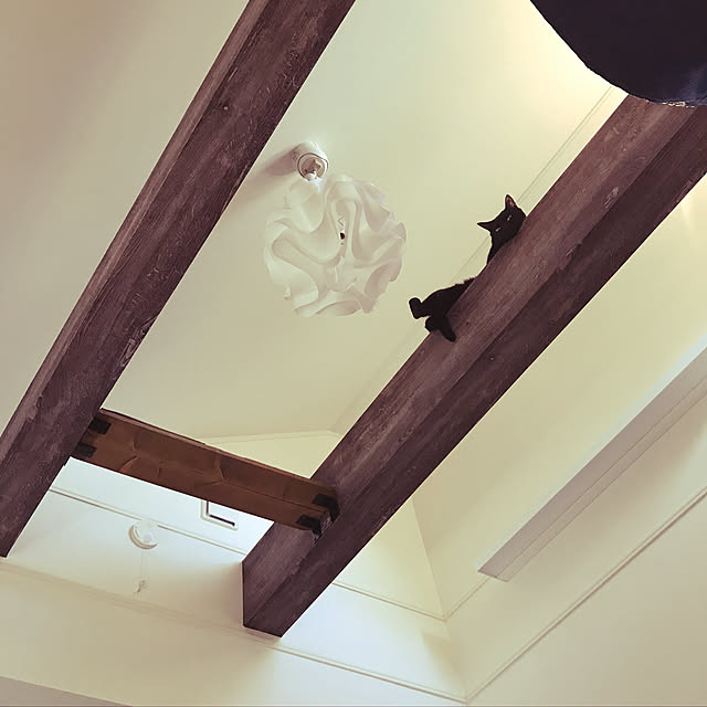 hinoteriさんの実例写真