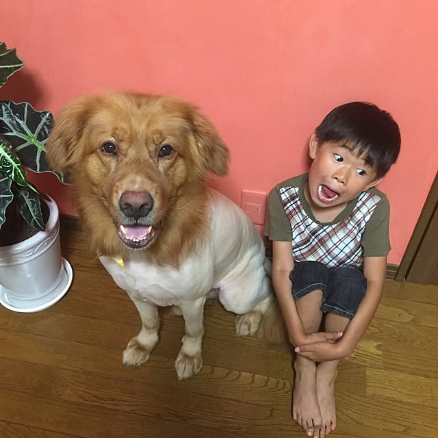 実例写真