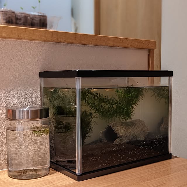 reeさんの部屋