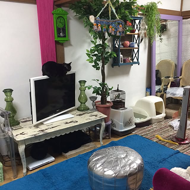 azusamaさんの実例写真
