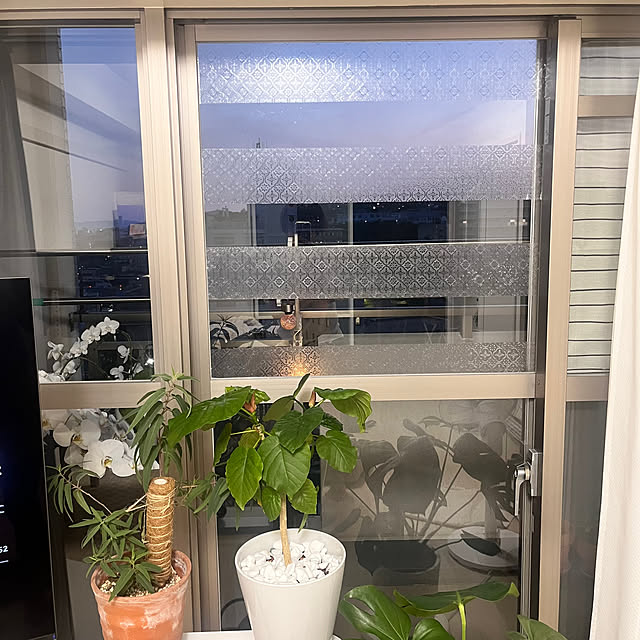 HITOさんの部屋