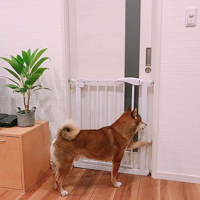 Soraさんの実例写真