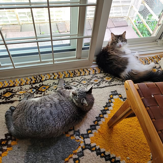 neoさんの実例写真