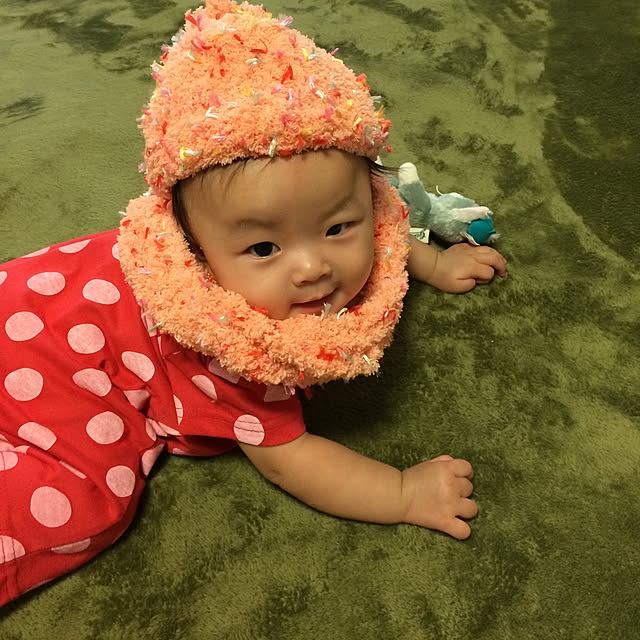 実例写真