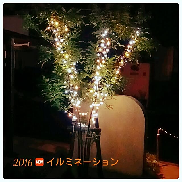 chihiroさんの実例写真