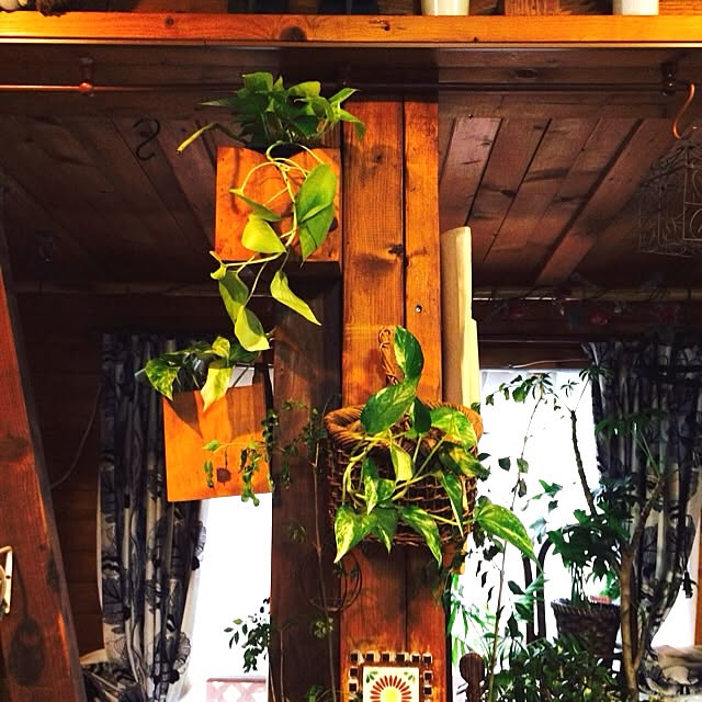 osuzuさんの実例写真