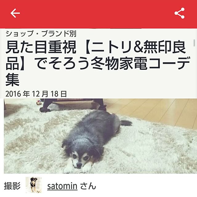 satominさんの実例写真