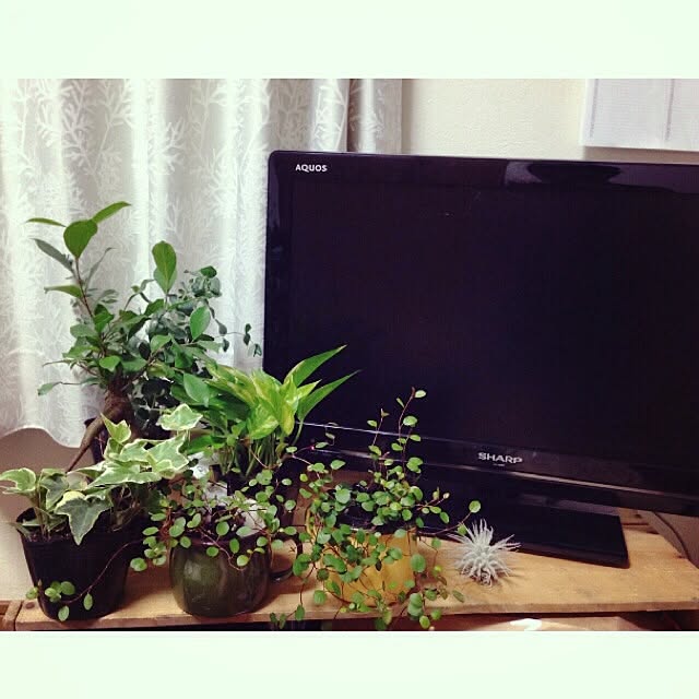 shiroさんの実例写真