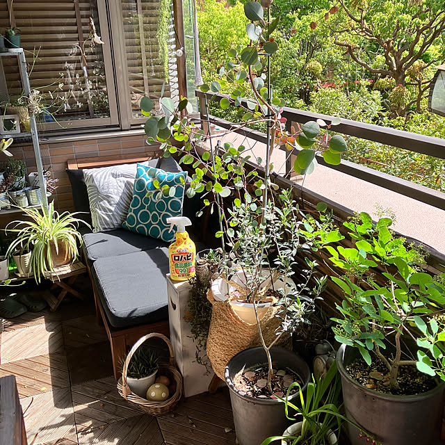 kan2さんの実例写真