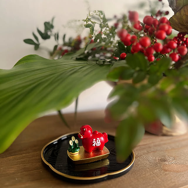 rookuさんの実例写真