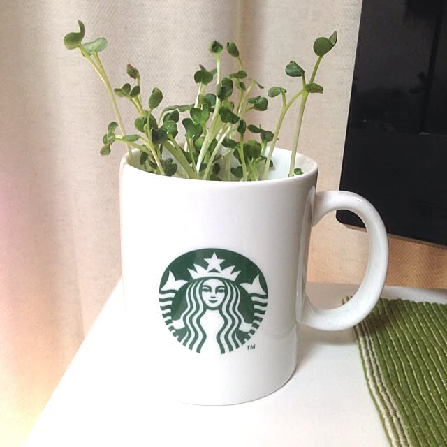 リビング/雑貨/食器/マグカップ/観葉植物...などのインテリア実例 - 2014-01-05 12:31:50