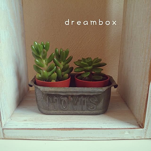 dreamboxさんの実例写真