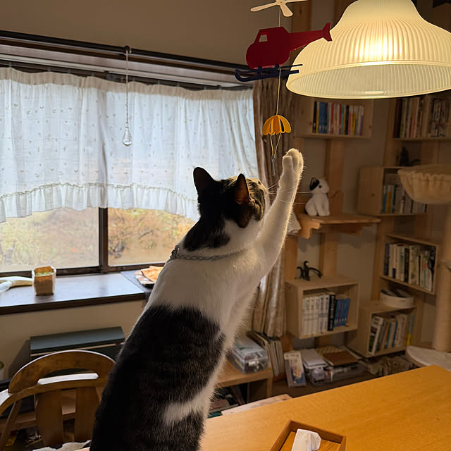 kuzumeganeさんの部屋