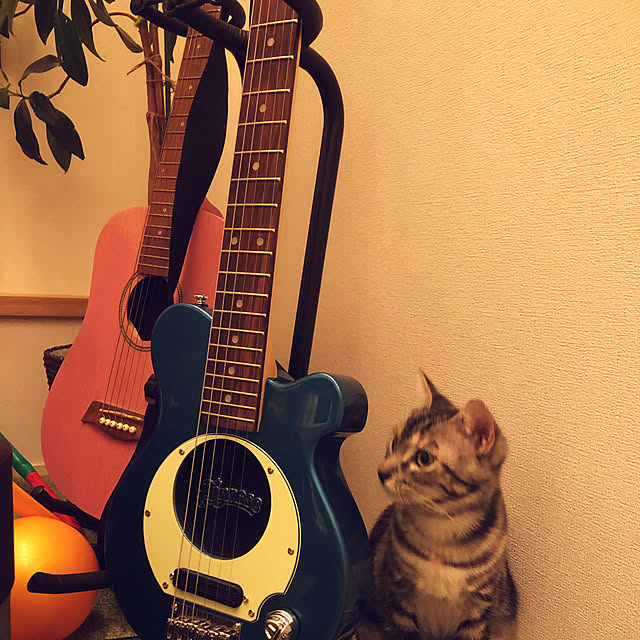 kittchanさんの実例写真