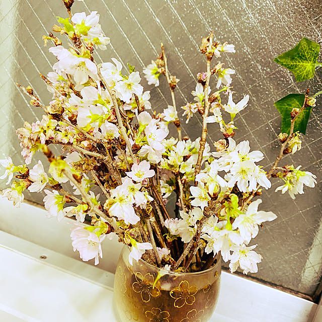 motimadoさんの実例写真