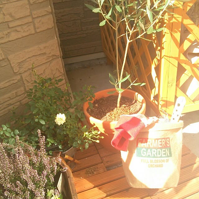 springさんの実例写真