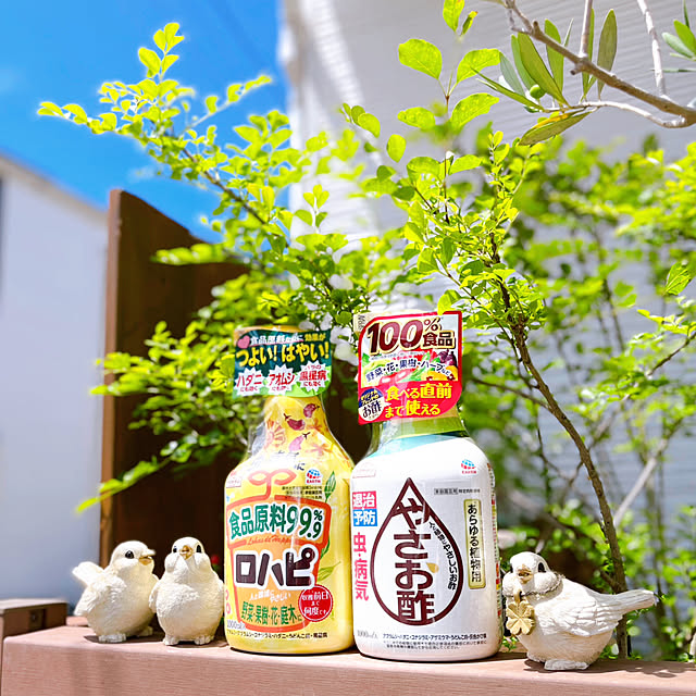 miechuraさんの実例写真