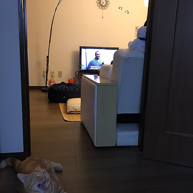 m.kantoh18_mikkoさんの実例写真