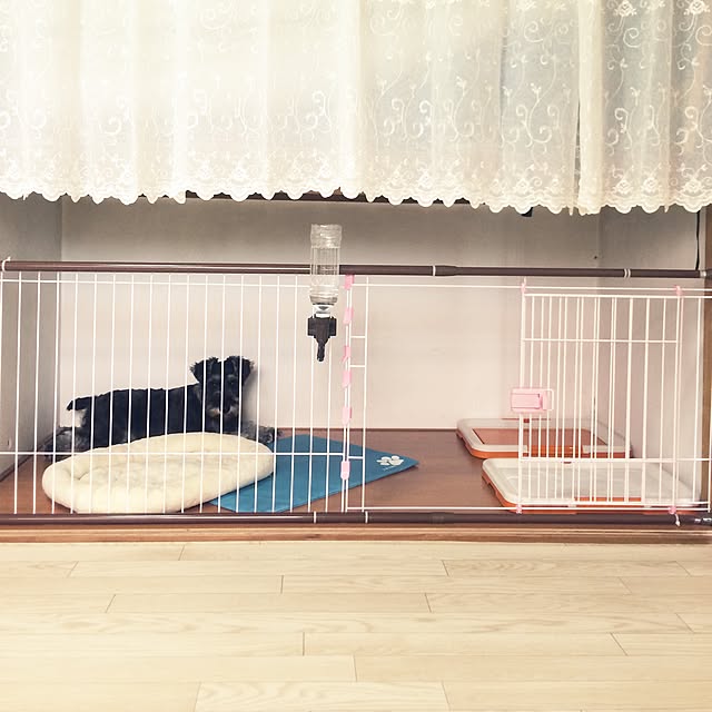 kyonchanさんの実例写真