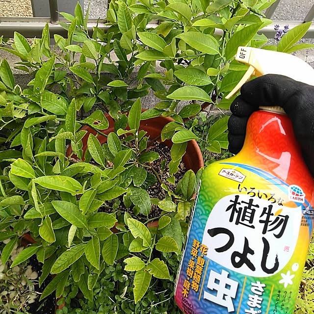 h.t.さんの実例写真