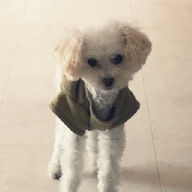 flowerさんの実例写真