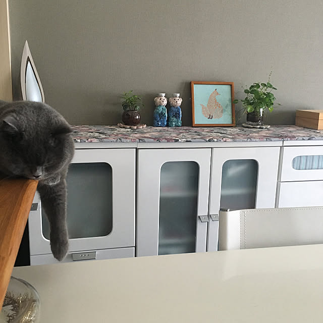 kittyさんの実例写真