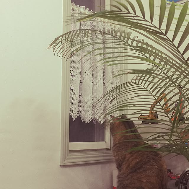 maruさんの実例写真