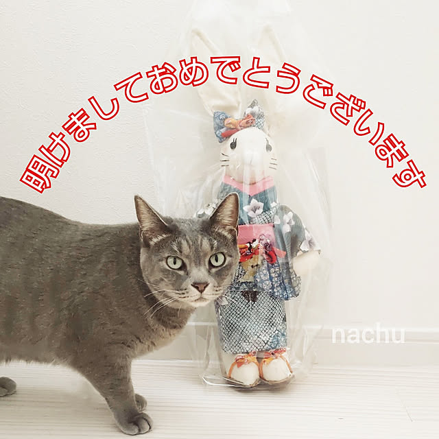 nachuさんの実例写真