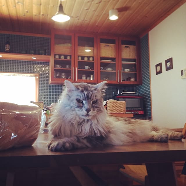 happaさんの実例写真