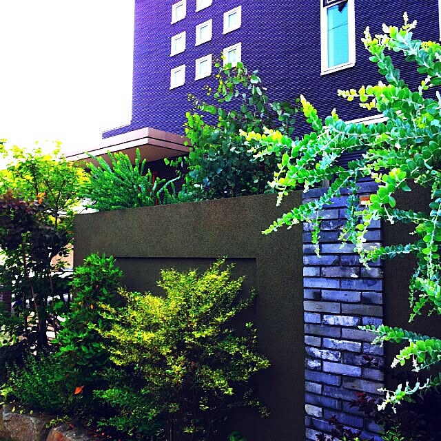 壁/天井/植物/窓のインテリア実例 - 2014-07-04 02:24:31