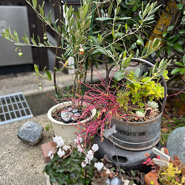 jijiさんの部屋